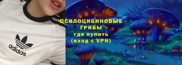 марки nbome Пересвет