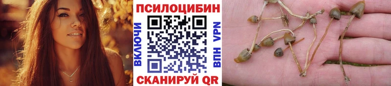 Псилоцибиновые грибы прущие грибы  блэк спрут зеркало  Красный Холм 